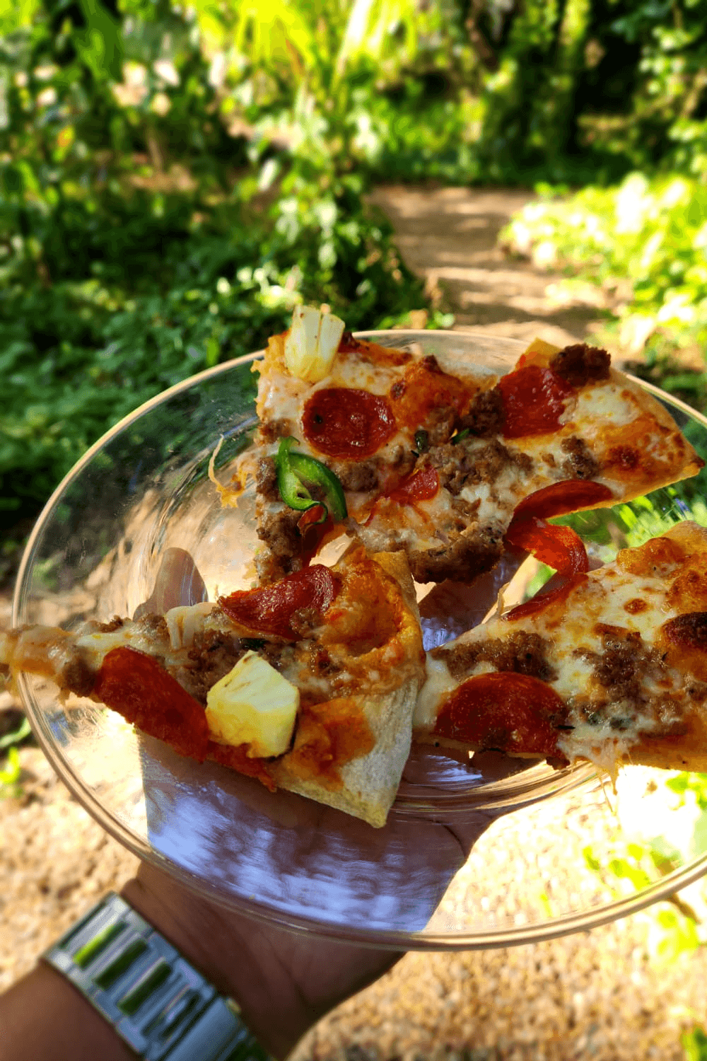 A hand holding a glass plate with several slices of pizza in a lush green outdoor setting.