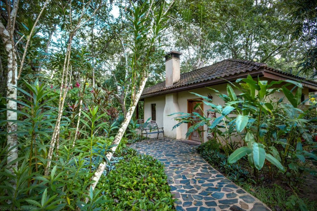 A charming house surrounded by lush greenery and a stone pathway.