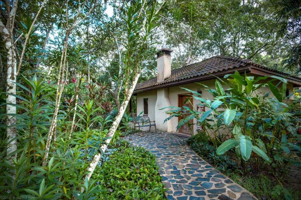 A charming house surrounded by lush greenery and a stone pathway.