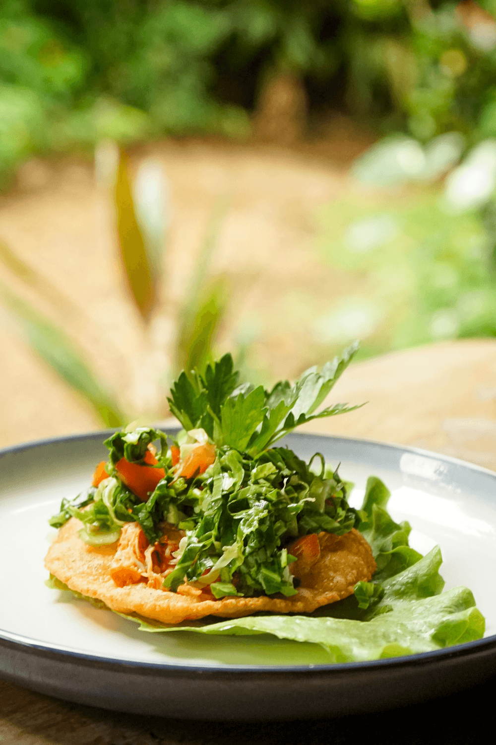 A colorful tostada topped with shredded chicken, lettuce, and tomatoes, served on lettuce leaves.