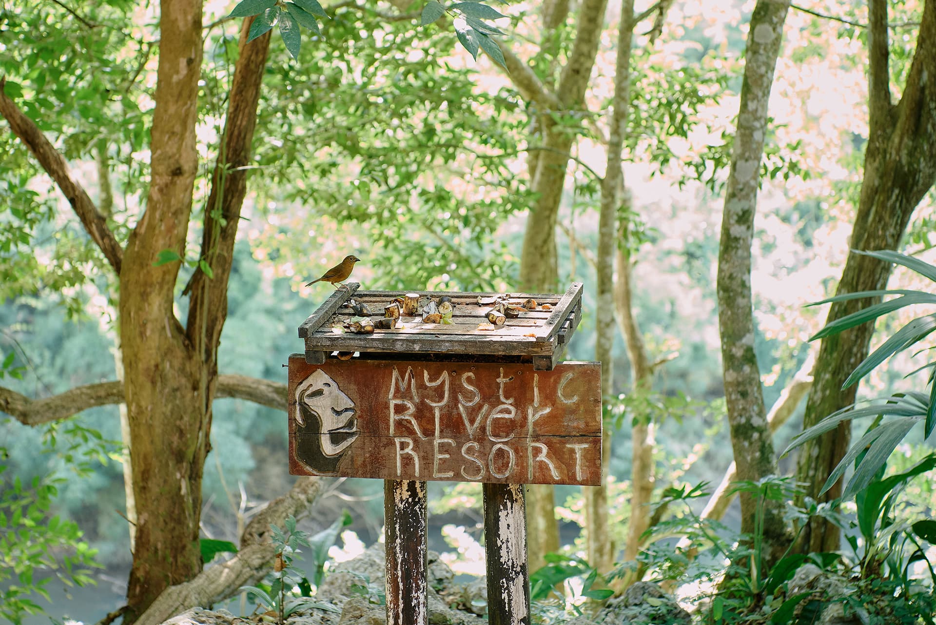 A weathered sign for Mystic River Resort surrounded by lush greenery.