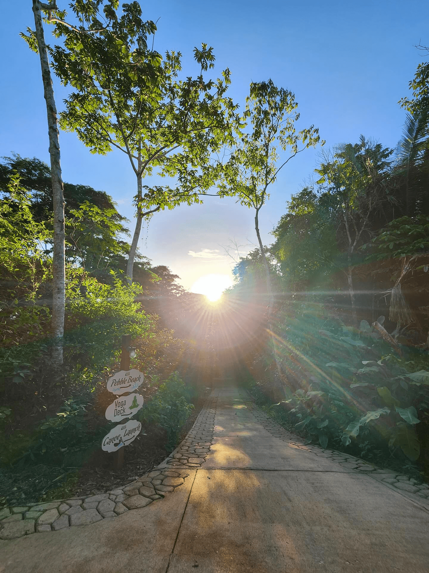 A pathway surrounded by greenery leads towards a sunlit horizon.