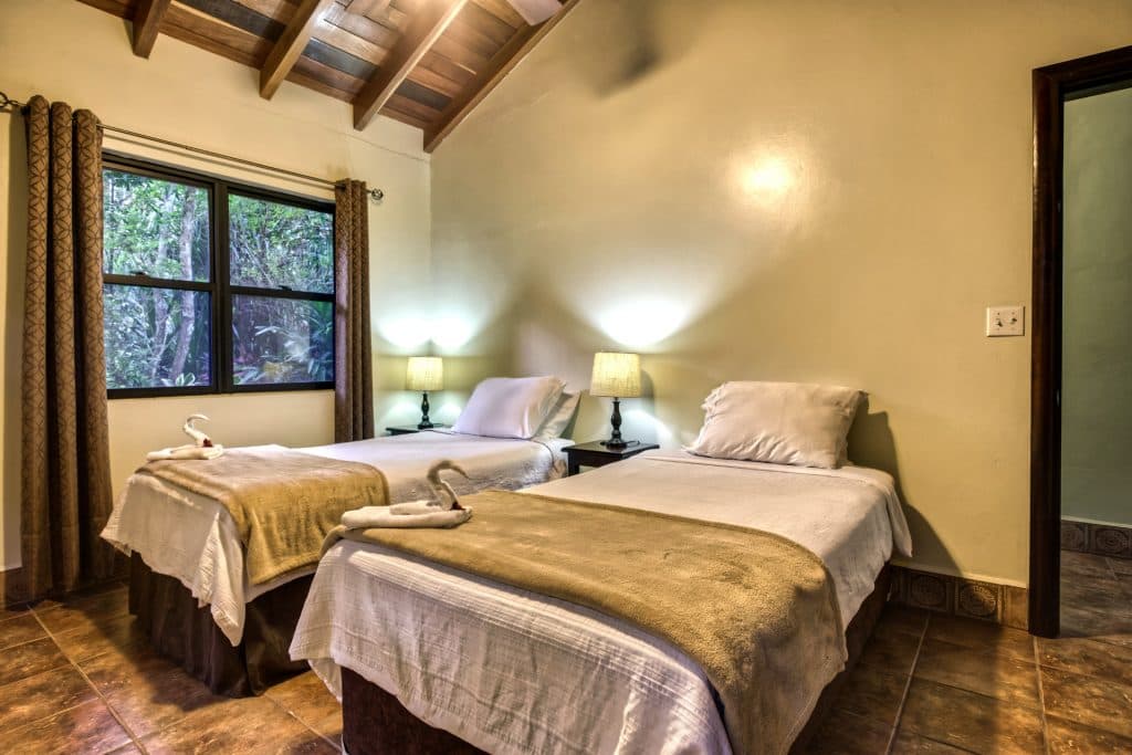 A cozy room with two twin beds, soft lighting, and a window view of greenery.