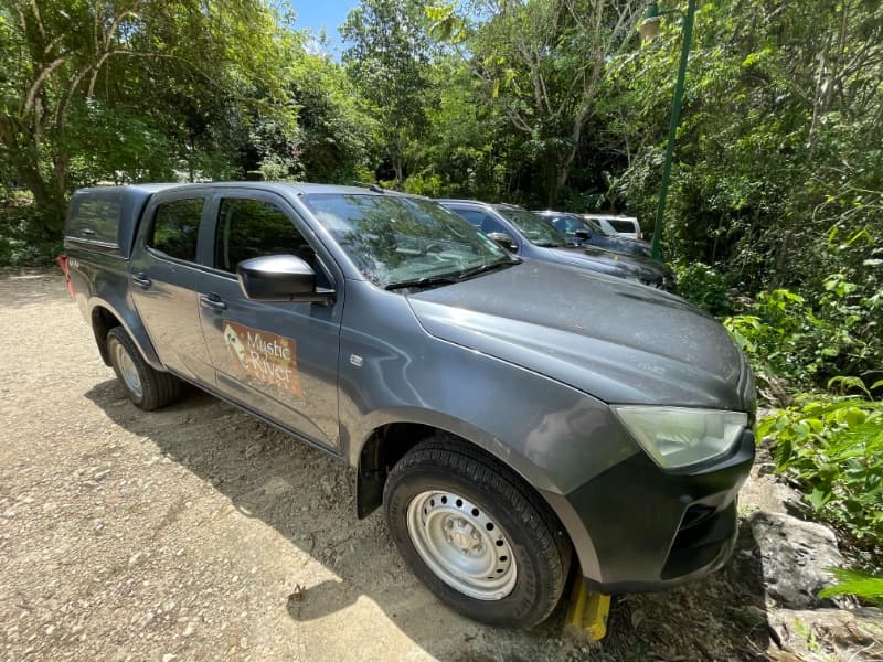 A gray truck parked on a gravel path surrounded by lush greenery.